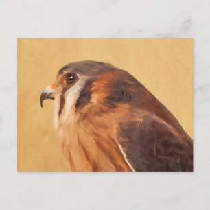 Carte Postale Peinture américaine Kestrel - Art original pour oi