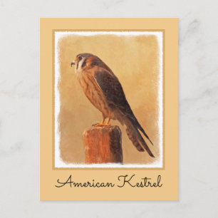 Carte Postale Peinture américaine Kestrel - Art original pour oi