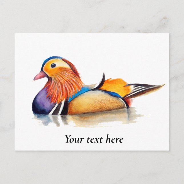 Carte Postale Peinture aquarelle Canard mandarin (Devant)