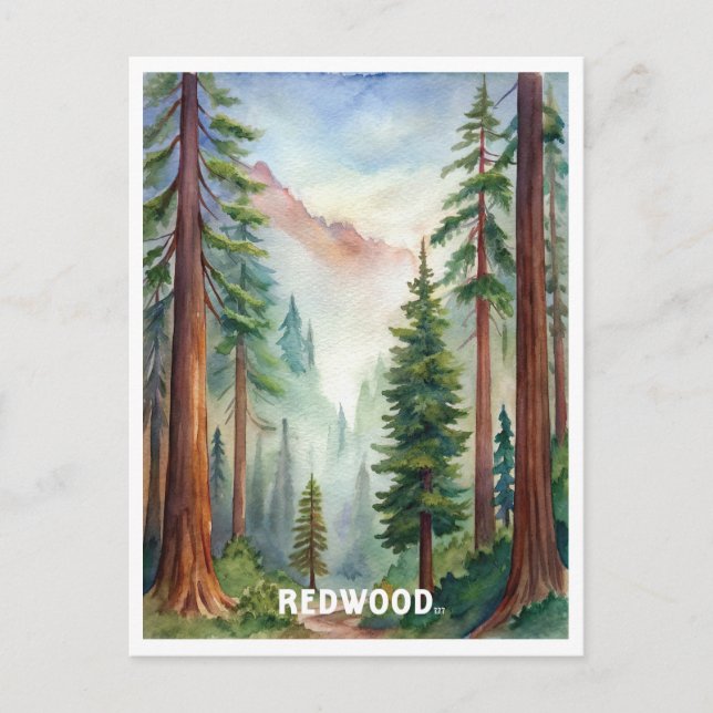 Carte Postale Peinture aquarelle du parc national Redwood (Devant)