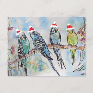 Carte Postale Peinture aquarelle Perruche oiseau Perruches Noël