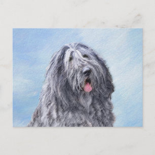 Carte Postale Peinture Bergamasco Sheepdog - Chien original mign