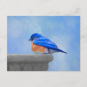 Carte Postale Peinture Bluebird - Art original pour oiseaux