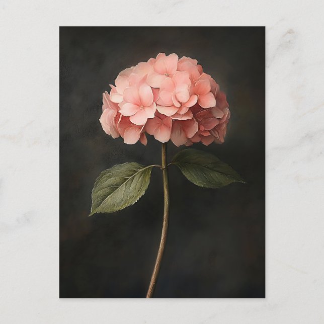 Carte Postale Peinture botanique d'Hydrangée rose (Devant)