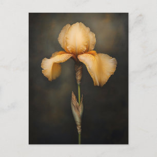Carte Postale Peinture botanique en Iris Jaune