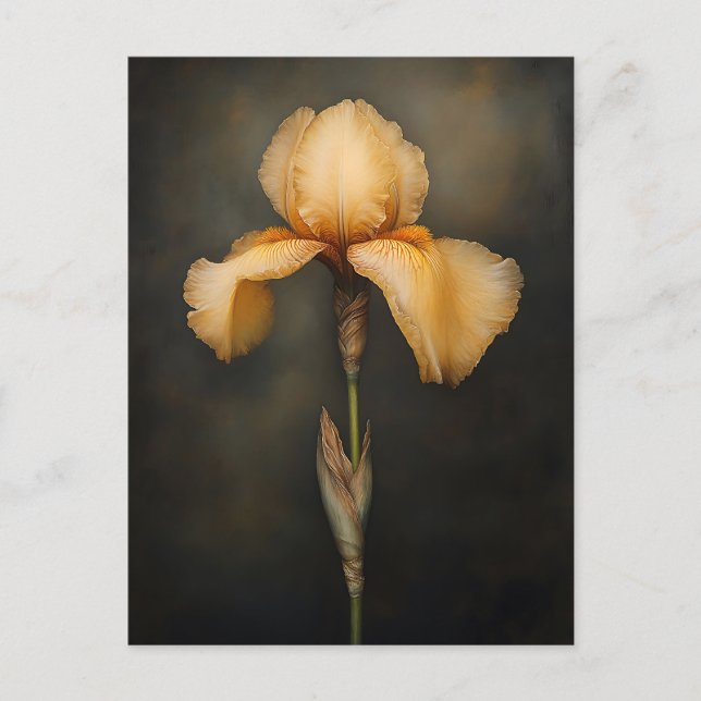 Carte Postale Peinture botanique en Iris Jaune (Devant)