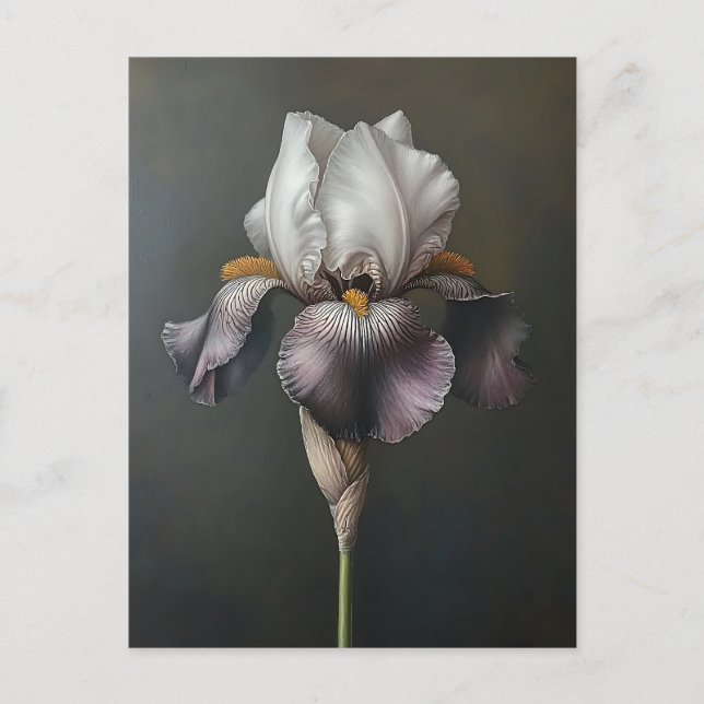 Carte Postale Peinture botanique en Iris violet et blanc (Devant)