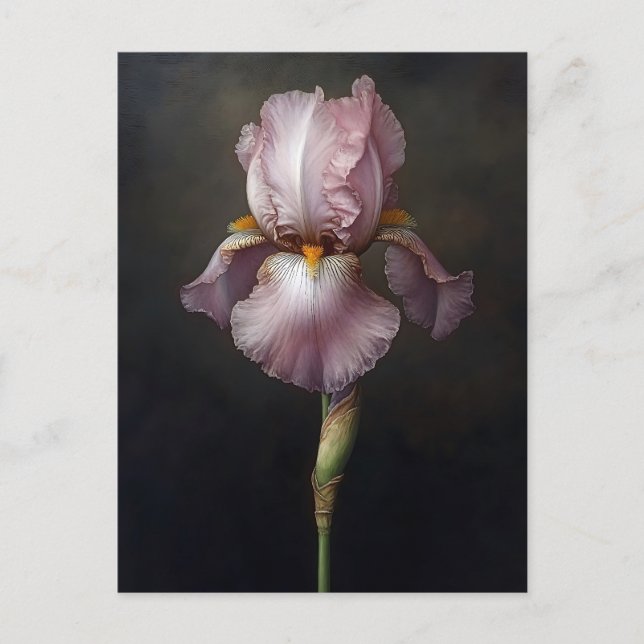 Carte Postale Peinture Botanique Iris Violet (Devant)