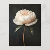 Peinture botanique rose pâle