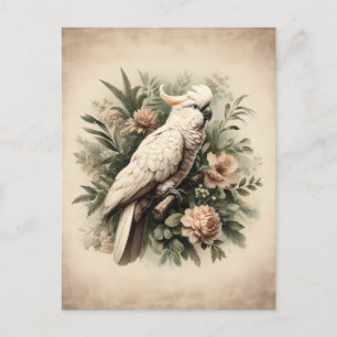 Carte Postale Peinture botanique vintage de Cockatoo