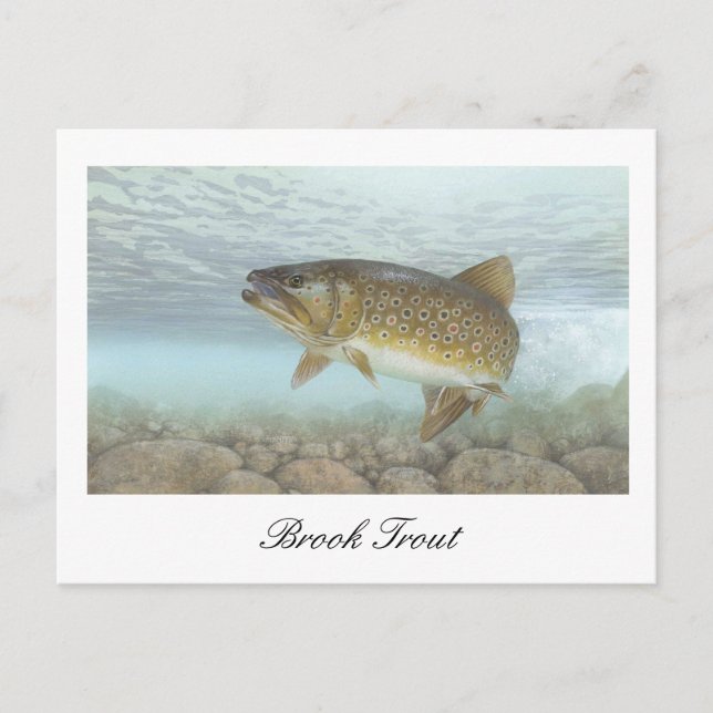 Carte postale Peinture Brook Truite (Devant)