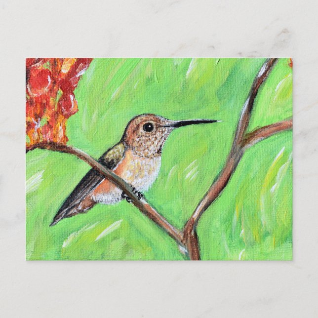 Carte Postale Peinture Cheeky Hummingbird (Devant)