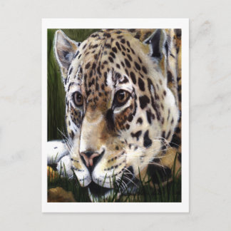 Carte postale Peinture Cheetah