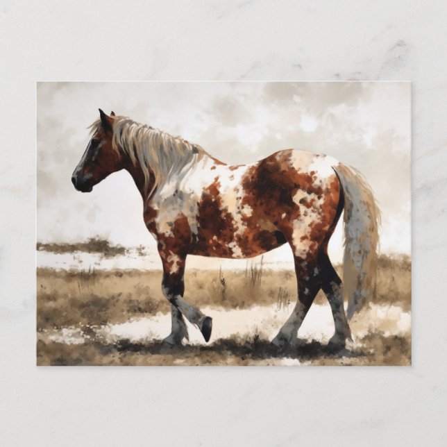 Carte postale Peinture Cheval Pinto Mustang (Devant)