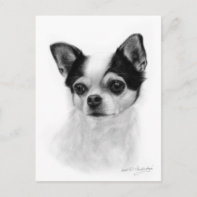 Carte Postale Peinture Chihuahua primée "Pensive" (Devant)
