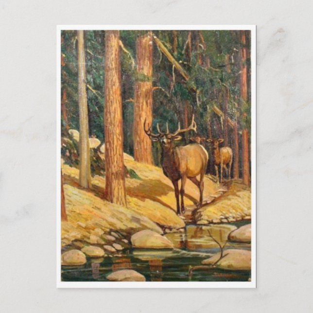 Carte postale Peinture classique (Devant)