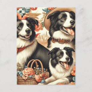 Carte Postale Peinture Collie vintage