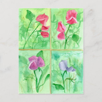 Carte Postale Peinture d'aquarelle rose Fleurs de pois doux