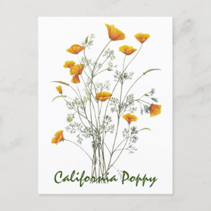 Carte Postale Peinture d'aquarelle verte jaune de la Californie