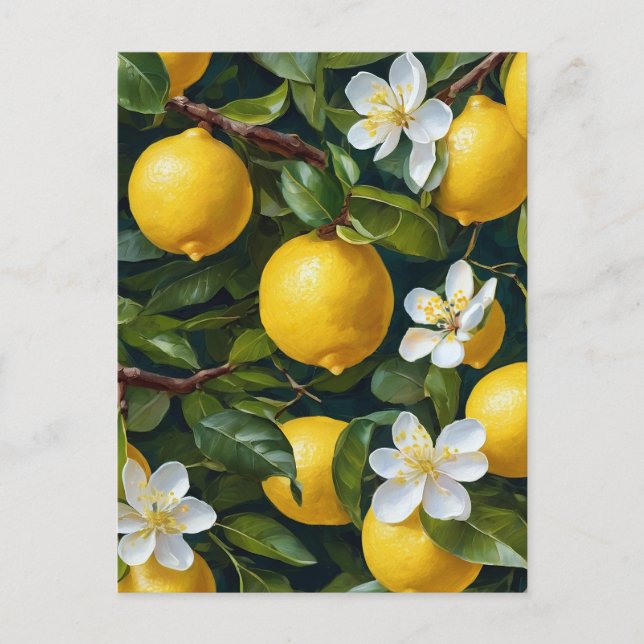 Carte Postale Peinture d'art Fruit Fleur de Citron (Devant)