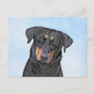Carte Postale Peinture de Beauceron - Cute Original Chien Art
