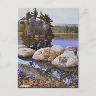 Carte Postale Peinture de beauté cachée