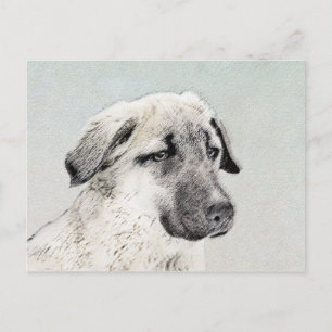 Carte Postale Peinture de berger anatolienne - Art original de c