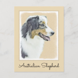 Carte Postale Peinture de berger australien - Art original de ch