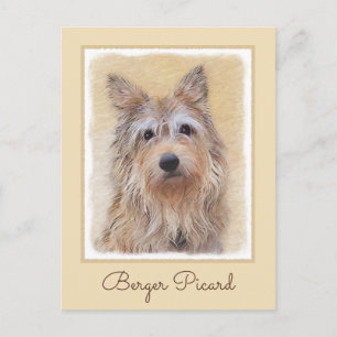 Carte Postale Peinture de Berger Picard - Jolie illustration ori