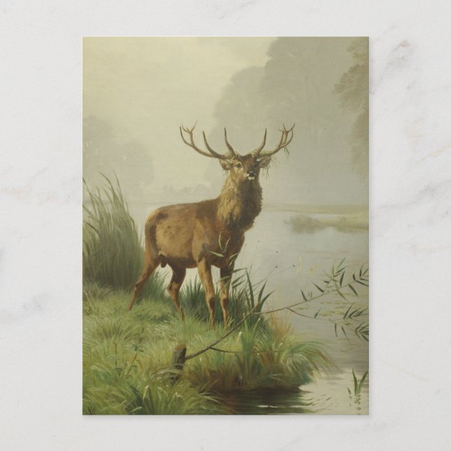 Carte Postale Peinture de cerf rouge (Devant)