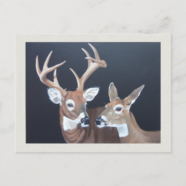 Carte Postale Peinture de cerfs blancs Buck et Doe (Devant)