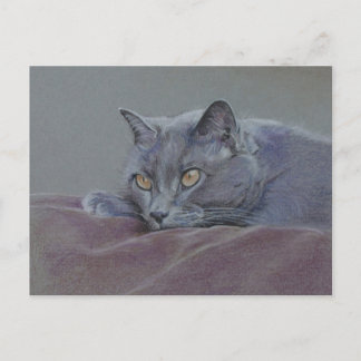 Carte Postale peinture de chat bleu britannique
