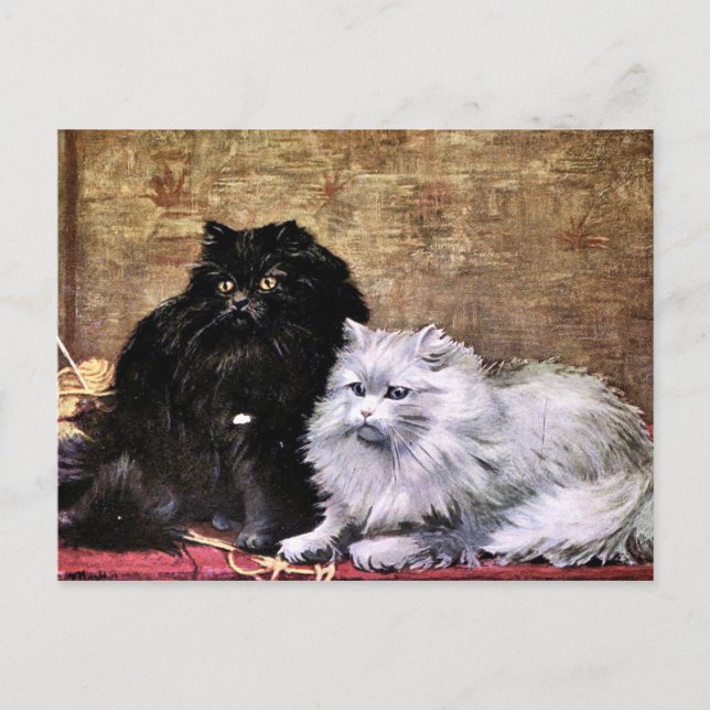 Carte Postale Peinture de chats perses (Devant)