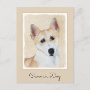 Carte Postale Peinture de chien de Canaan - jolie art original d