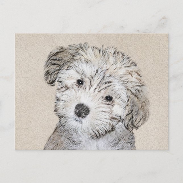 Carte Postale Peinture de Chien Havanais - Cute Original Chien A (Devant)