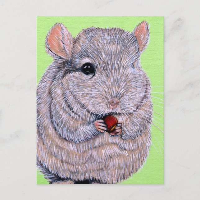 Carte Postale Peinture de chinchilla câlin qui mordille (Devant)