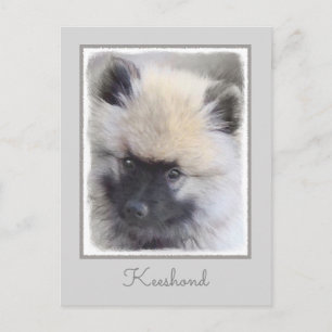 Carte Postale Peinture de chiot de Keeshond - jolie art de chien
