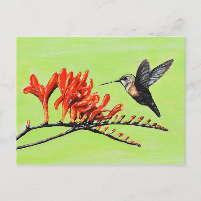 Carte Postale Peinture de colibri et de crocosmia (Devant)