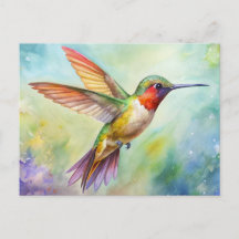 Peinture de colibri roux