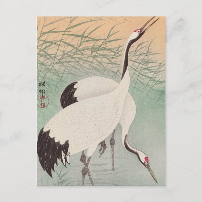 Carte Postale Peinture de deux grues par Ohara Koson (Devant)