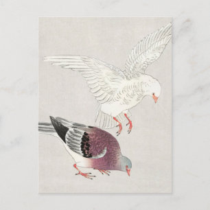 Carte Postale Peinture de deux pigeons par Ohara Koson