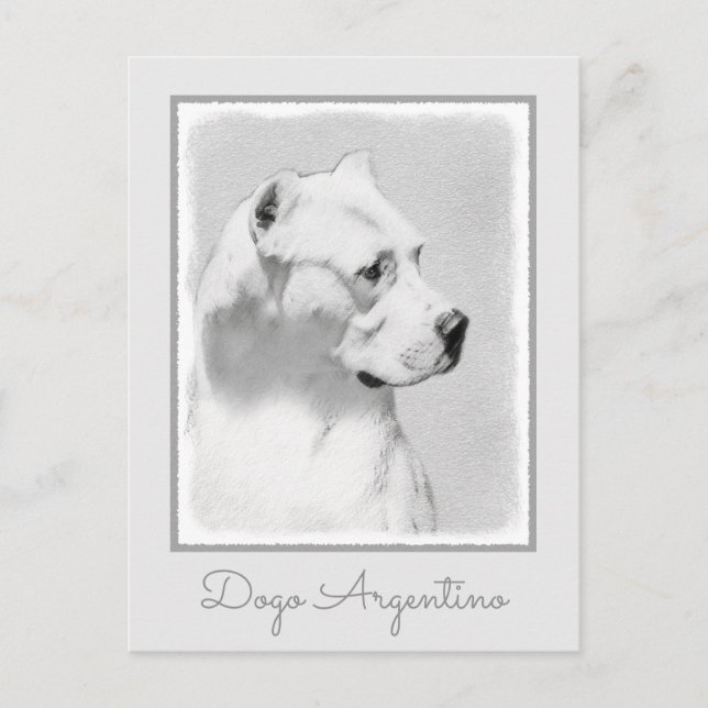 Carte Postale Peinture de Dogo Argentino - Art canin original (Devant)