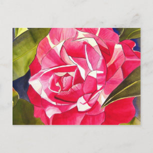 Carte Postale Peinture de fleurs rose Camellia