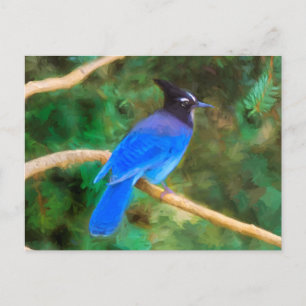 Carte Postale Peinture de Geai de Steller - Oeuvre d'art origina