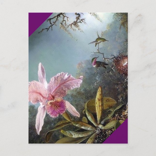 Carte Postale Peinture de la forêt tropicale des orchidées de co (Devant)