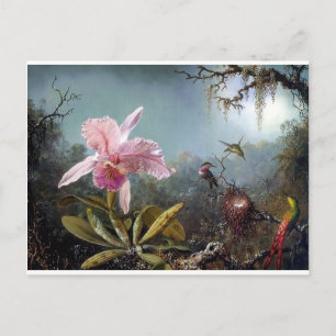 Carte Postale Peinture de la forêt tropicale des orchidées de co