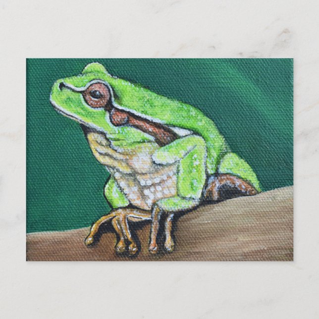 Carte Postale Peinture de la grenouille arboricole (Devant)