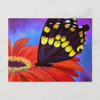 Carte Postale Peinture de marguerite à papillon noir - Multi