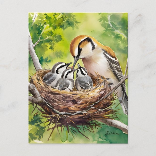 Carte Postale Peinture de nid d'oiseaux doux (Devant)