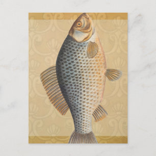 Carte Postale Peinture de pêche de carpe dessin d'eau douce